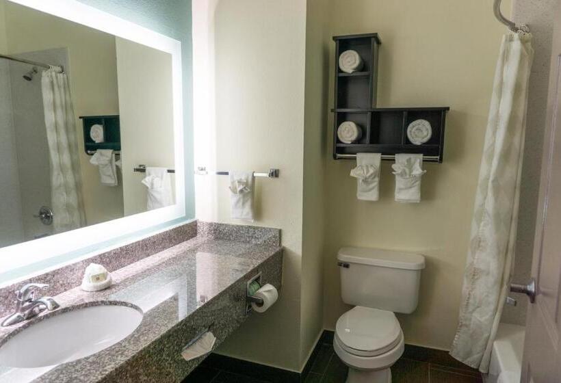 스위트 킹사이즈 침대, Best Western Mayport Inn & Suites