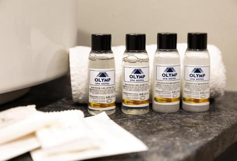 Номер Economy, Spa Hotel Olymp