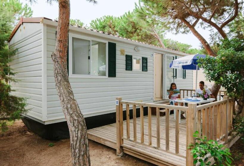 Дом 1 Спальня, Villaggio Camping Torre Del Porticciolo