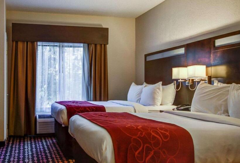 Люкс, Comfort Suites Northside Hospital Gwinnett