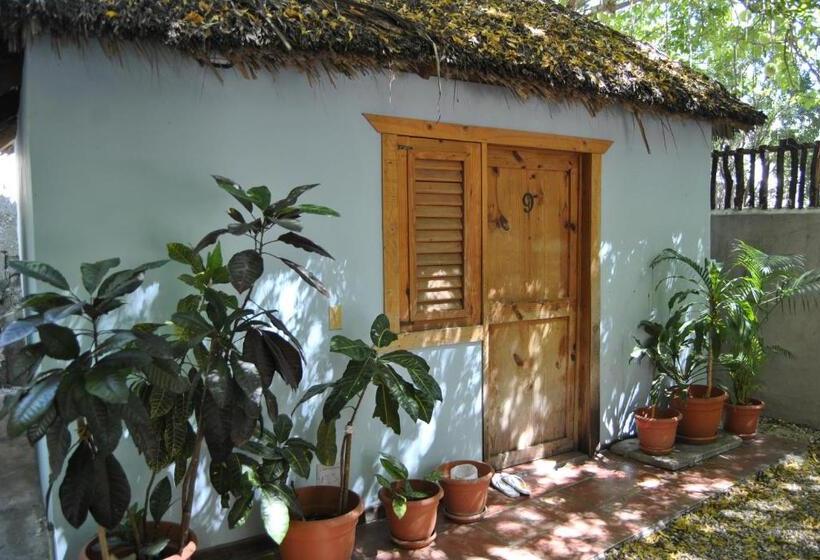 Habitación Estándar, Loro Tuerto