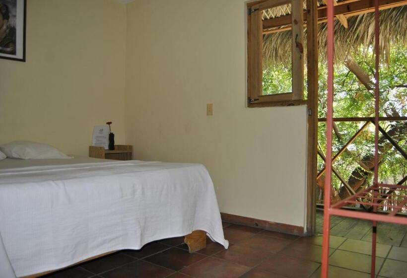 Habitación Estándar, Loro Tuerto
