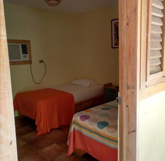 Habitación Estándar, Loro Tuerto