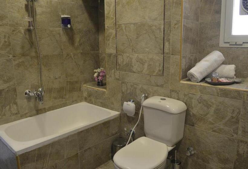 اتاق سوپریور با چشم‌انداز رودخانه, Nile View Inn