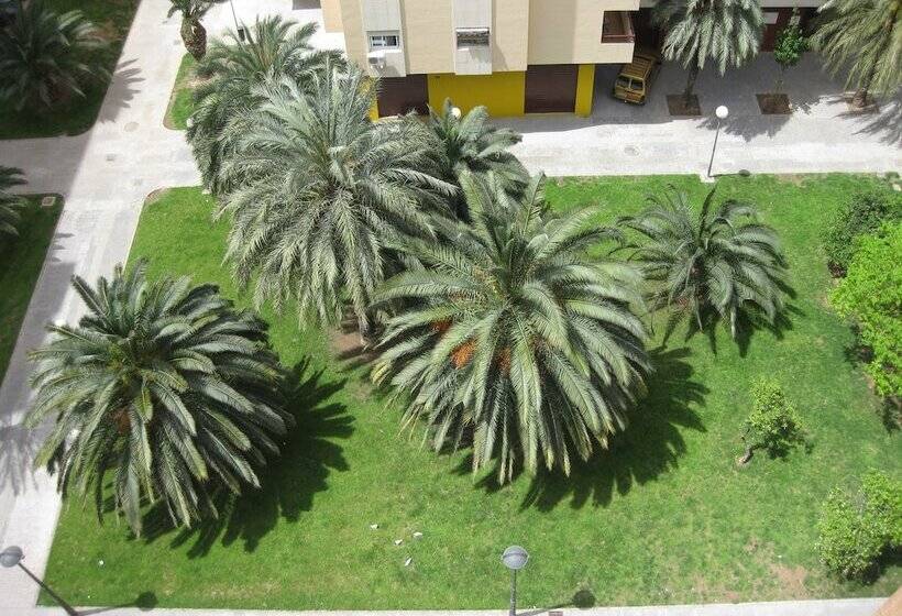 آپارتمان سوپریور 1 خوابه, Apartamentos Plaza Picasso