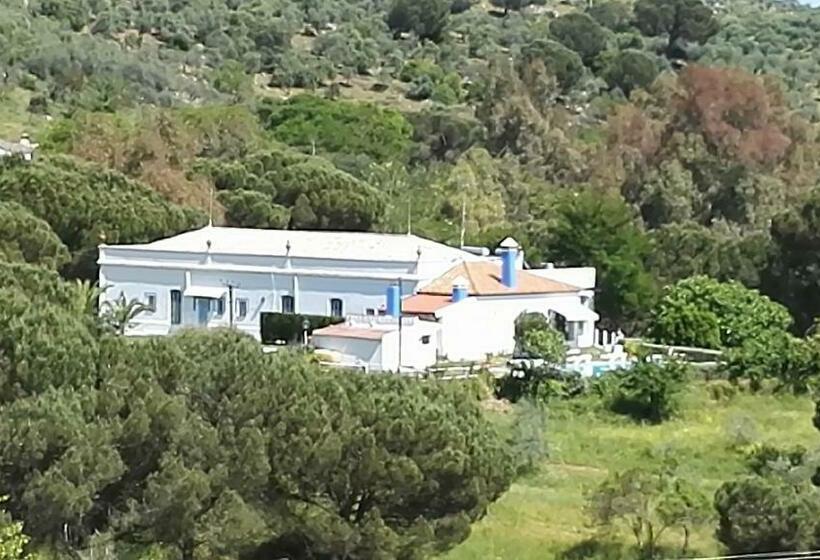 标准房带园景, Casa Grande