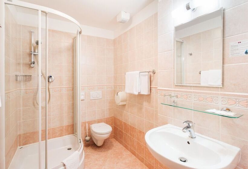 Номер Стандарт Трехместный, Wellness Hotel Grand