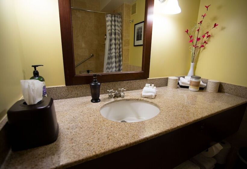 디럭스 룸 산전망, 2417 At Oceanfront Resort Lihue Kauai Beach Drive Private Condo