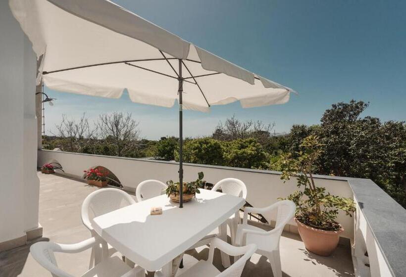 ２ベッドルームアパートメント, Cala Cala Rooms,restaurant & Farm Experience