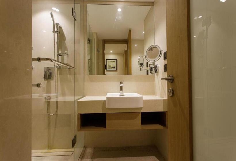 Номер Deluxe, Sayaji Jamnagar