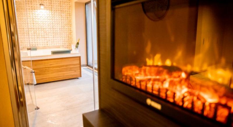 이그제큐티브 룸, Elexus Apartments Poiana Brasov