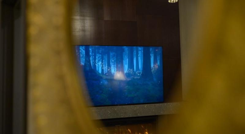 산전망 주니어 스위트, Elexus Apartments Poiana Brasov