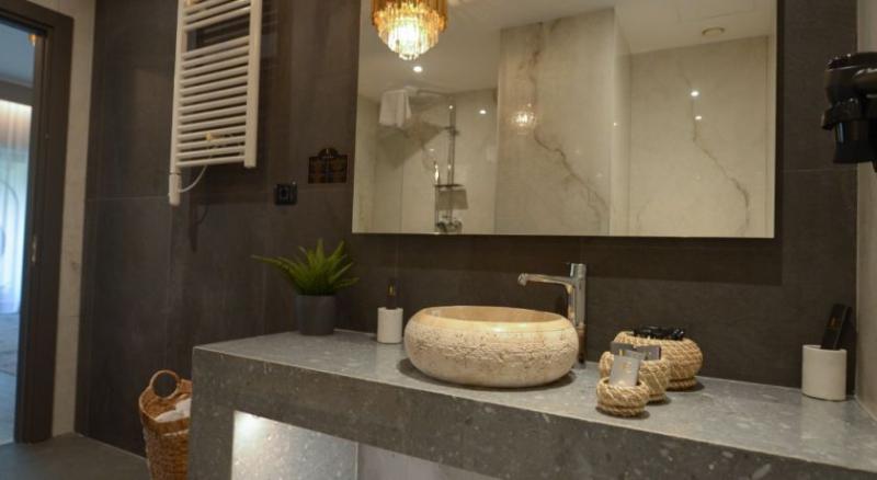 산전망 주니어 스위트, Elexus Apartments Poiana Brasov