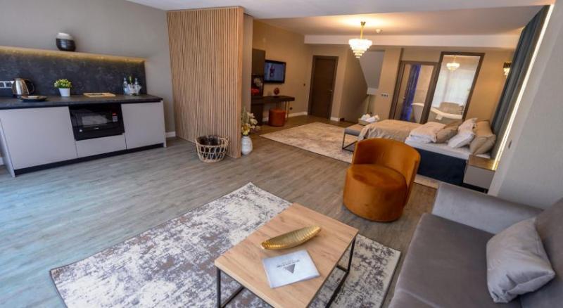 디럭스 주니어 스위트, Elexus Apartments Poiana Brasov