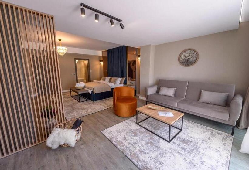 디럭스 주니어 스위트, Elexus Apartments Poiana Brasov