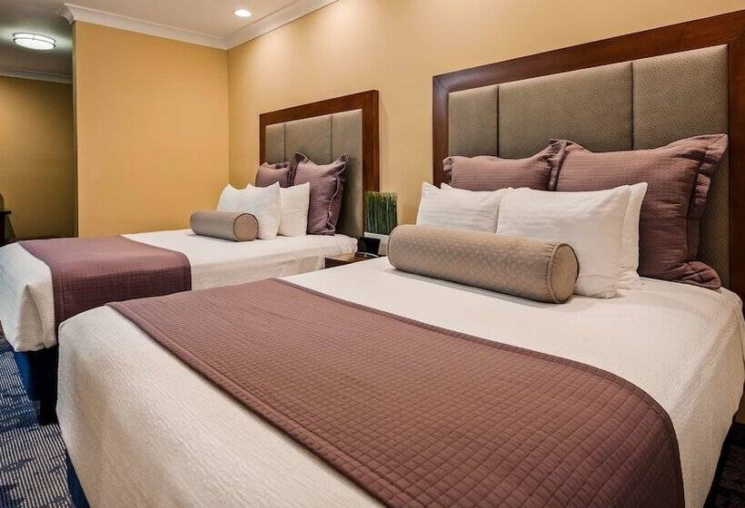 스위트, Best Western Plus Avita Suites