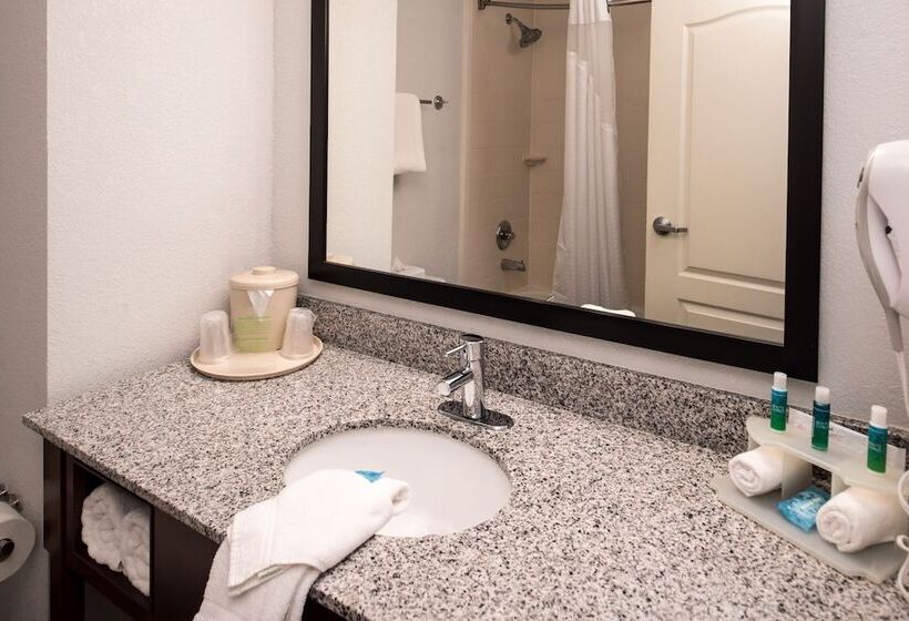 스탠다드 룸, Holiday Inn Express & Suites Alamogordo Highway 54/70, An Ihg
