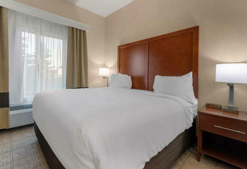 Люкс Кровать Кинг, Comfort Inn & Suites