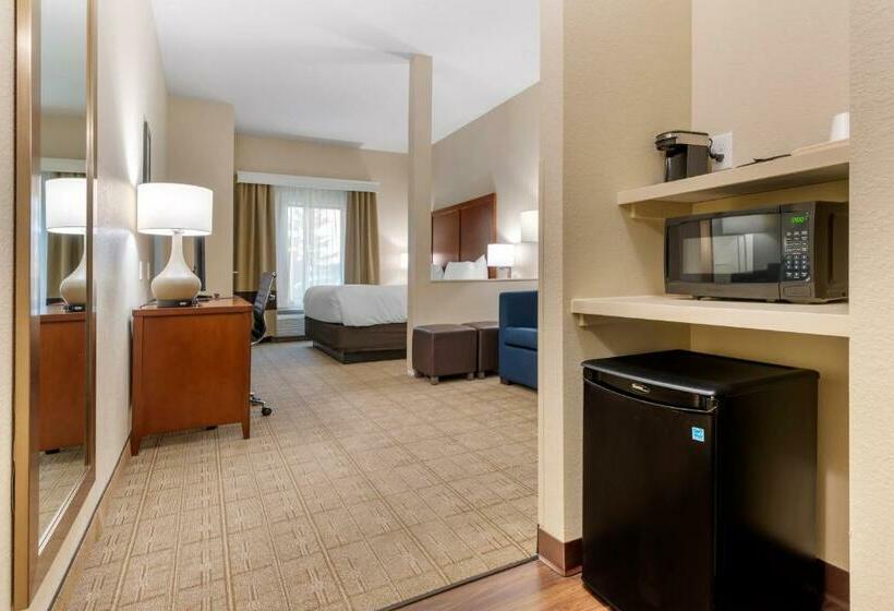 Люкс Кровать Кинг, Comfort Inn & Suites