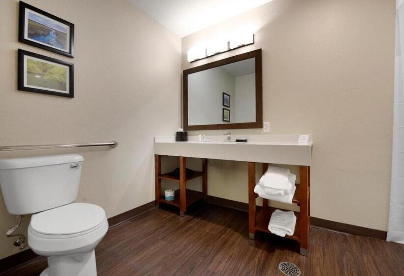 Номер Стандарт Кровать Квин Адаптированный для Инвалидов, Comfort Inn & Suites