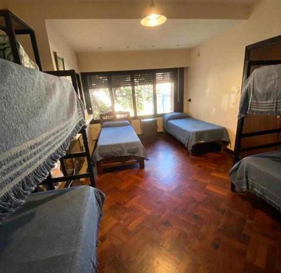 تختخواب در اتاق مشترک, Coya Hostel
