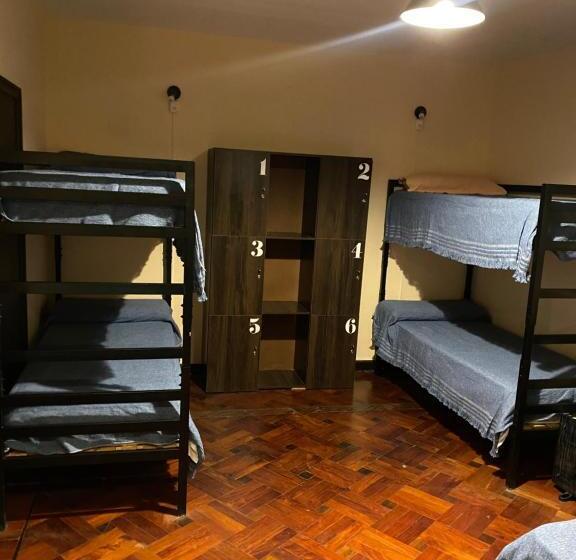 تختخواب در اتاق مشترک, Coya Hostel