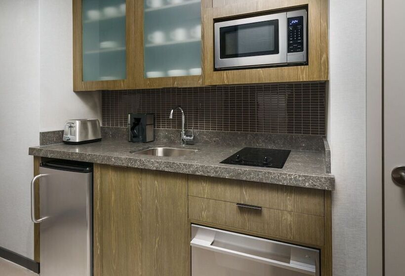 استودیوی استاندارد با تخت دوبل, Residence Inn New York Downtown Manhattan/financial District