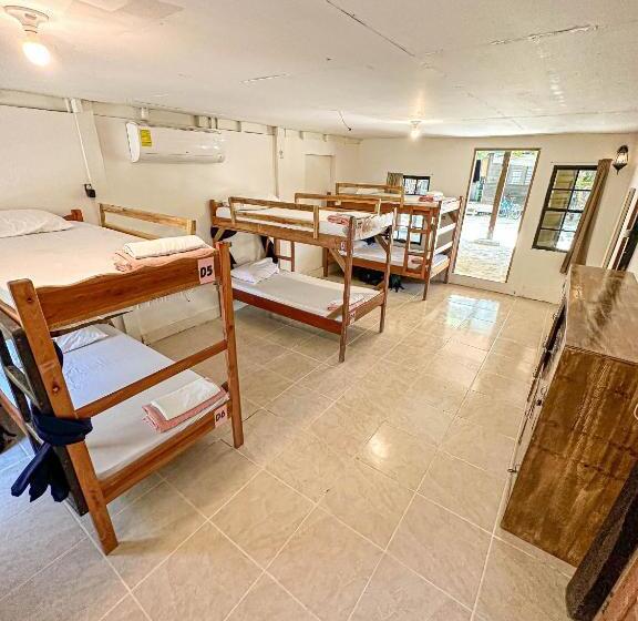 공동 객실, Bella S Backpackers Hostel