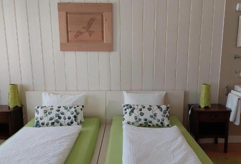 اتاق استاندارد با سرویس بهداشتی مشترک, B&b Gästehaus Rössli Schwellbrunn