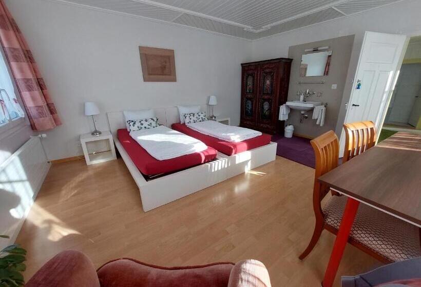 اتاق استاندارد با سرویس بهداشتی مشترک, B&b Gästehaus Rössli Schwellbrunn