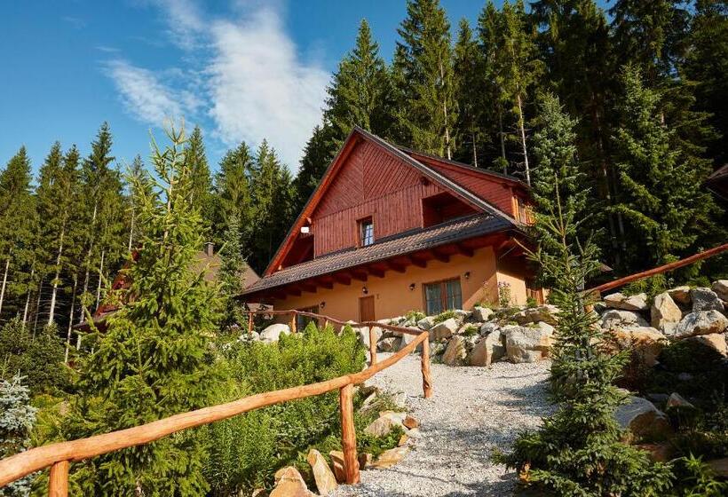 带1个卧室的豪华公寓, Wellness Hotel Ondrášův Dvůr