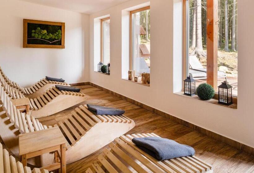 套房, Wellness Hotel Ondrášův Dvůr