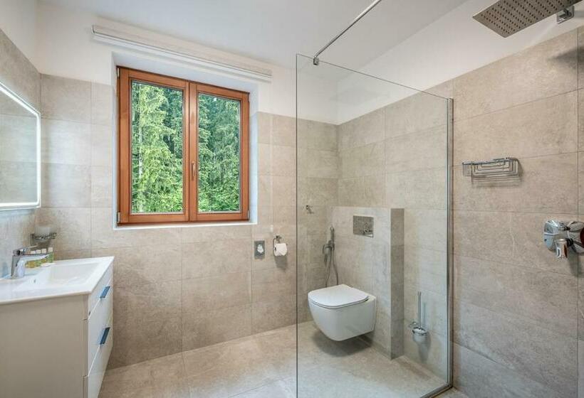 带大床的标准间, Wellness Hotel Ondrášův Dvůr