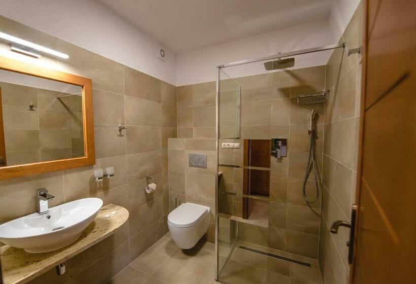 适合残疾人使用的标准间, Wellness Hotel Ondrášův Dvůr