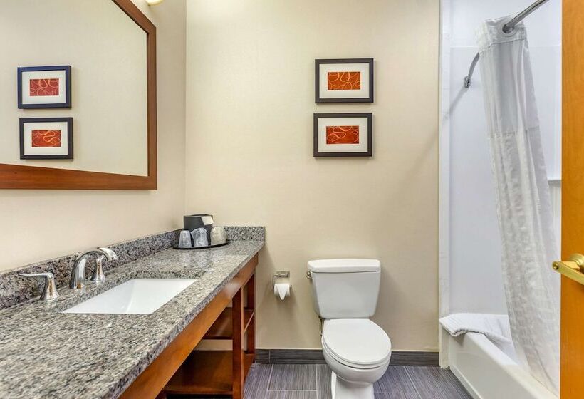 Люкс, Comfort Suites Southgate Detroit