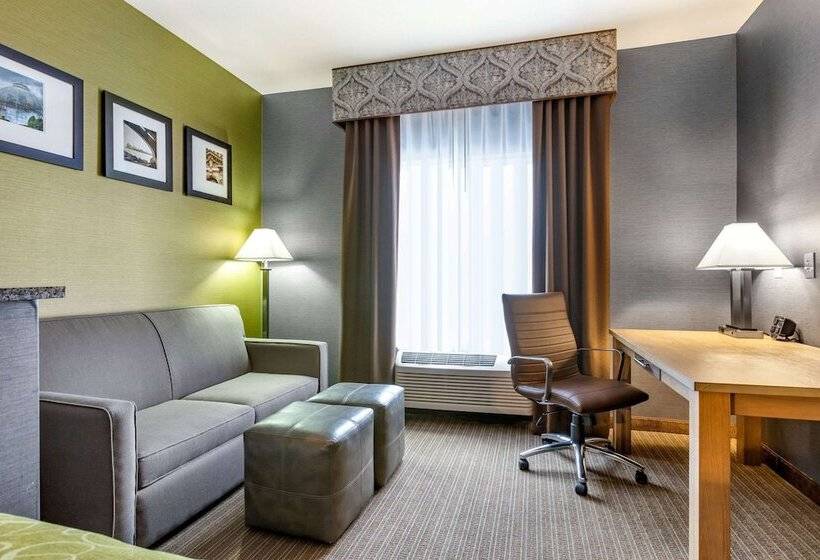 Люкс, Comfort Suites Southgate Detroit