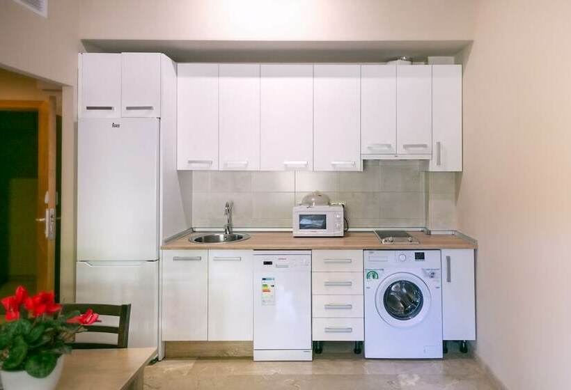 آپارتمان 1 خوابه, Apartamentos Turísticos La Castilleja