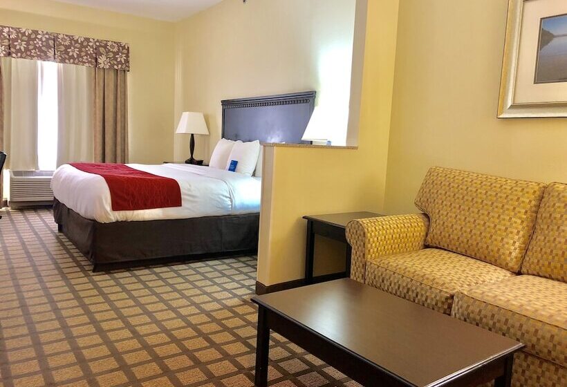 스위트, Comfort Inn & Suites Montgomery Eastchase