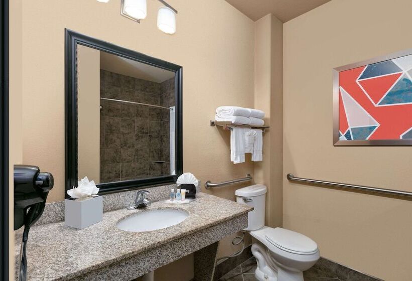 Suite Adaptada per a persones amb mobilitat reduïda, Comfort Suites Arlington  Entertainment District