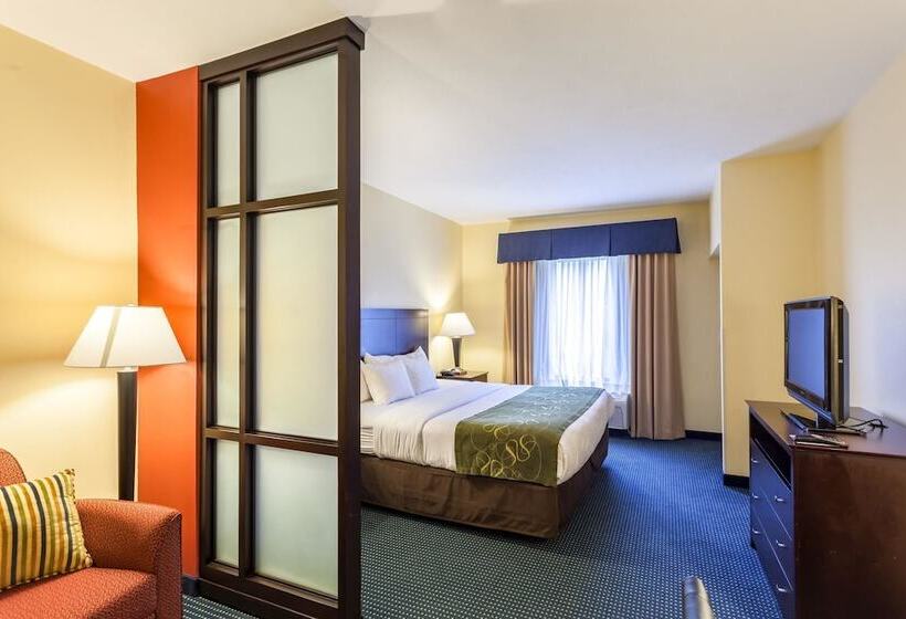 Люкс, Comfort Suites East Lincoln   Mall Area