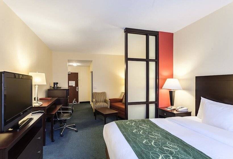 Люкс, Comfort Suites East Lincoln   Mall Area