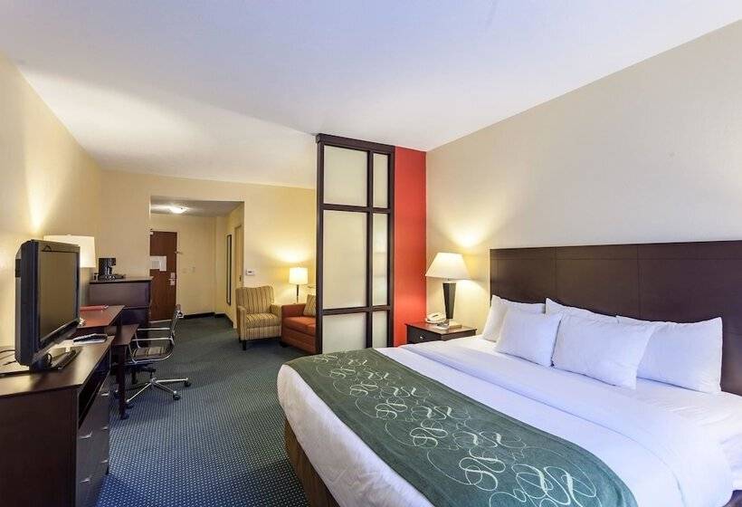 Люкс Адаптированный для Инвалидов, Comfort Suites East Lincoln   Mall Area