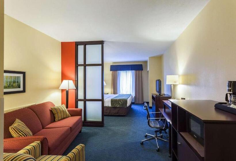 Люкс Кровать Кинг, Comfort Suites East Lincoln   Mall Area
