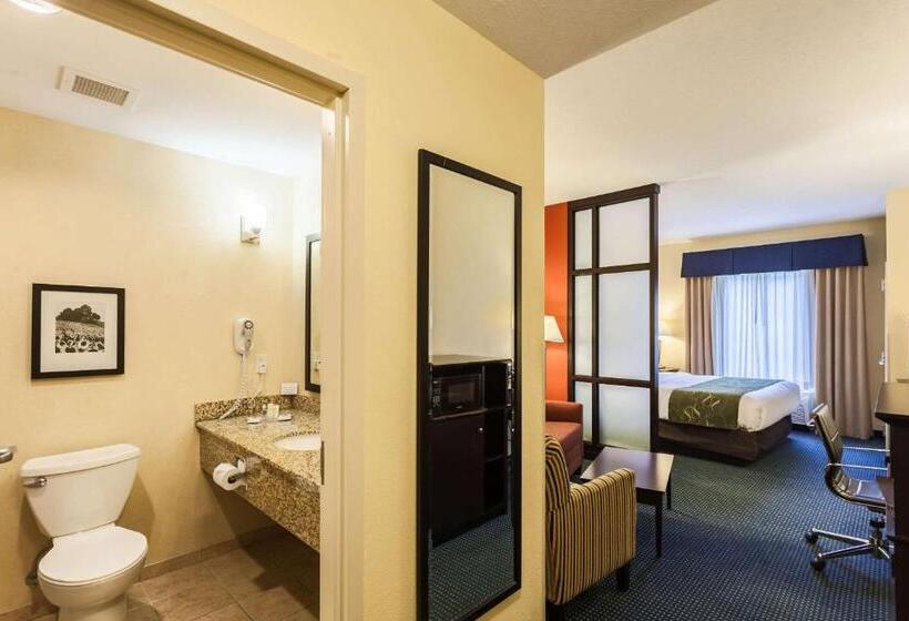Люкс Кровать Кинг, Comfort Suites East Lincoln   Mall Area