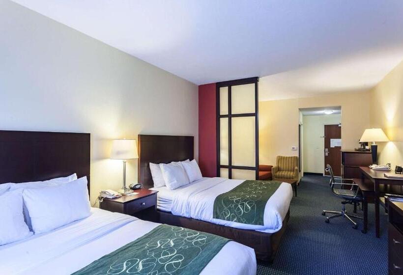 Люкс, Comfort Suites East Lincoln   Mall Area