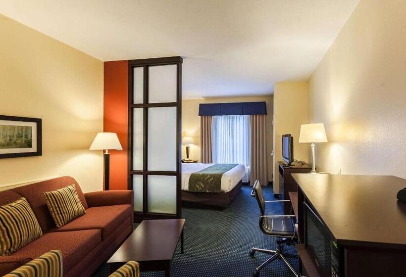 Люкс Кровать Кинг, Comfort Suites East Lincoln   Mall Area