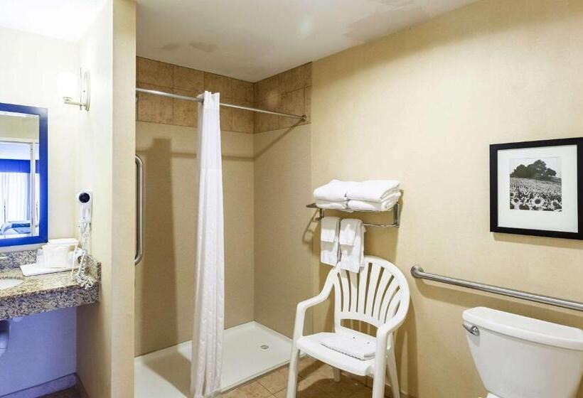 Люкс Адаптированный для Инвалидов, Comfort Suites East Lincoln   Mall Area