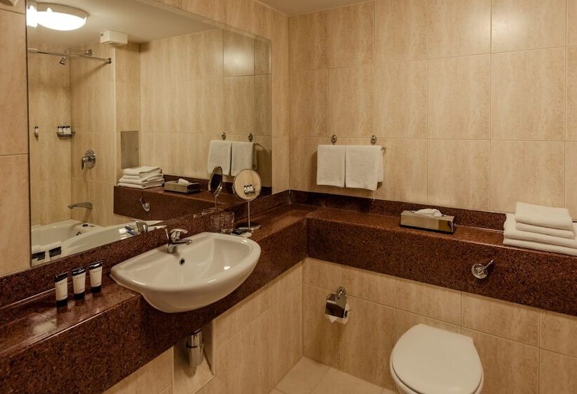 Номер Стандарт, Rochestown Lodge