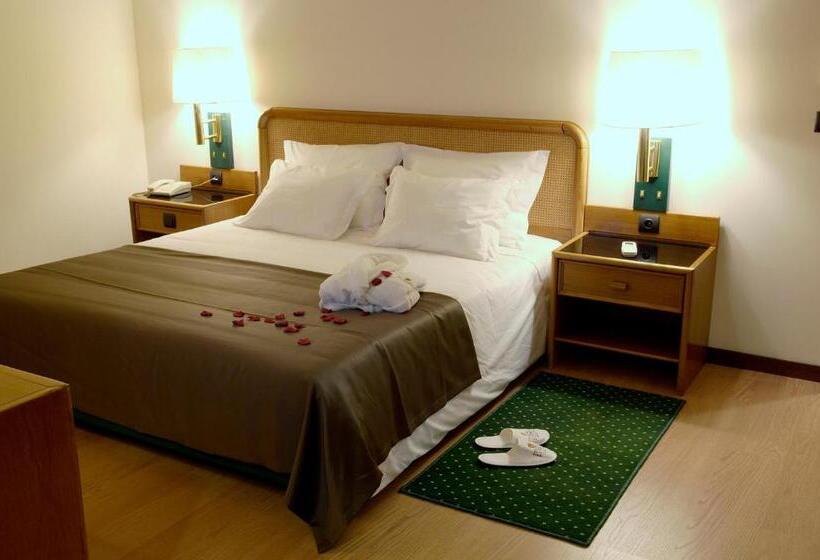 Номер Стандарт, Palace Hotel & Spa   Termas De Sao Vicente