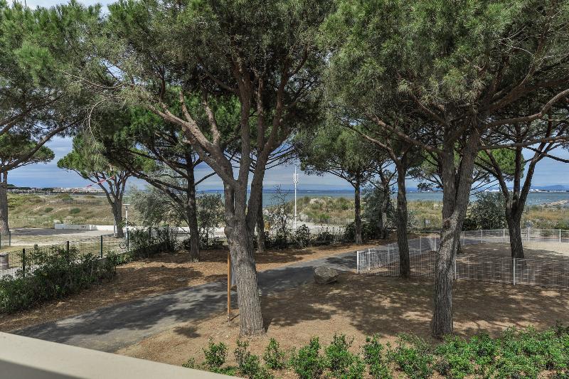 Апартаменты 1 Спальня, Belambra Clubs Port Camargue   Les Salins
